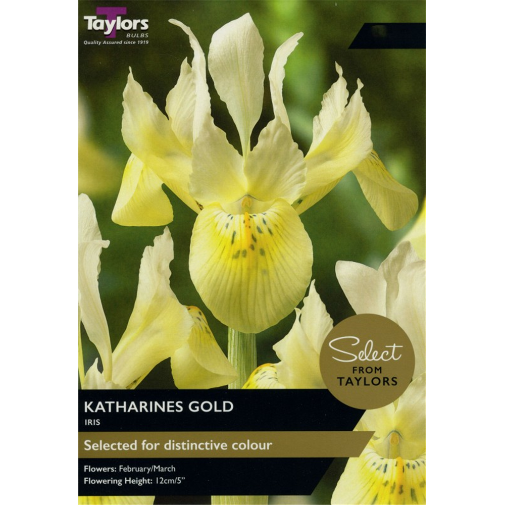 Iris Katherines Gold Waterperry Gardens Oxfordshire Garden Centre